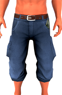 Baggycutoffs200.png
