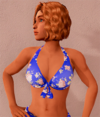 Beachtop200.png