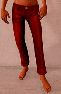 Leatherpants.png