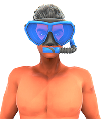 Snorkel200.png