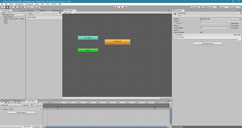 Animator.jpg