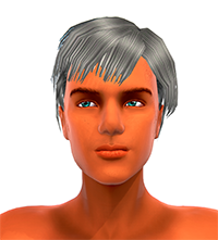 Mens' Ponytail