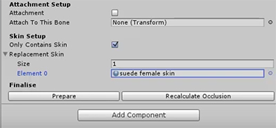 Skin Setup.jpg